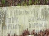 image of grave number 31445